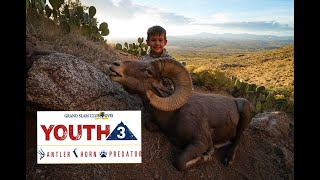 6 YEAR OLD FOREST HUNTS DESERT BIGHORN SHEEP IN New Mexico 4K
