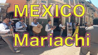 ¡¡¡Mariachi en Tequila, Mexico!!!!