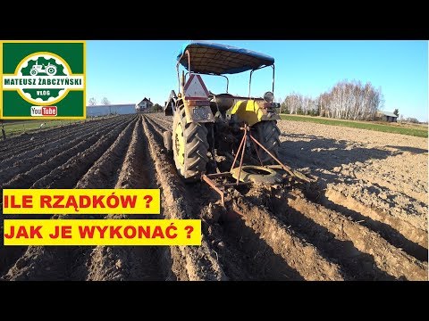 CIAPEK KONTRA-15 rows in 15 minutes!