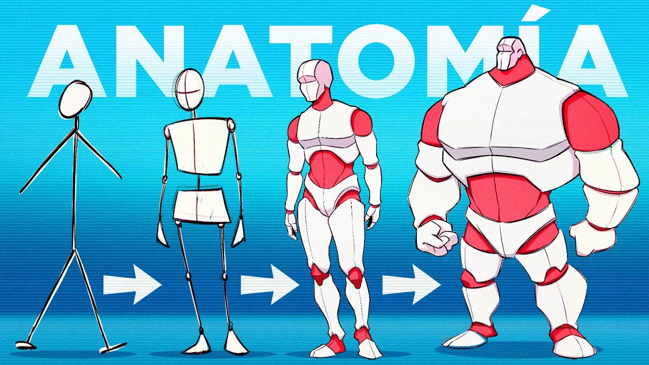 ⭐Learn to DRAW FULL ANATOMY in Just 1 VIDEO⭐