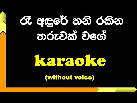 Re adure thani rakina tharuwak wage - karaoke with Lyrics