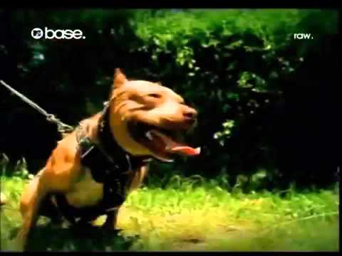 Snoop Dogg ft.C-Murder & Magic - Buck Em/Down 4 My N's