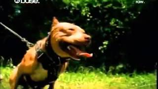 Snoop Dogg ft.C-Murder &amp; Magic - Buck Em/Down 4 My N's