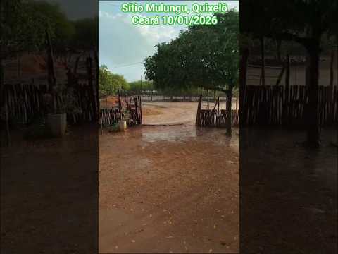 🇧🇷 SÍTIO MULUNGU, QUIXELÔ, CEARÁ 10/01/2026 #vidanaroça #fazenda #nordeste #vidanaroça #sitio