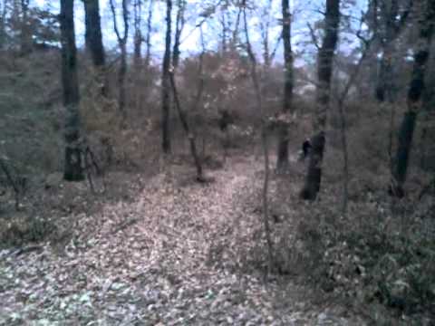 yamaha napraznic  la bretea muresana