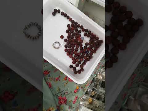 Uma breve sobre o Japamala.