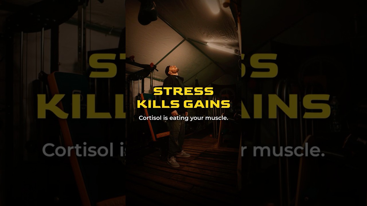 How Stress Affects Muscle Growth: Cortisol, Testosterone, and Recovery | Video Guide