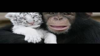 Meredith Andrews Show Me What It Means Fisher of Men