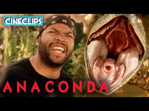 Ice Cube's Encounter With Anaconda | Anaconda | CineStream