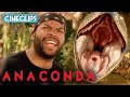 Ice Cube S Encounter With Anaconda Anaconda CineStream