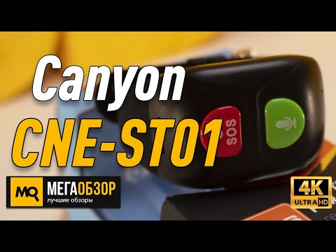 фото умные часы для пожилых людей canyon cne-st01 0