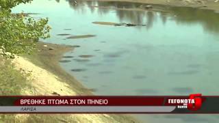 Βρέθηκε πτώμα στον Πηνειό