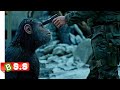 Apes Movie Explained In Hindi & Urdu