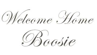 Plies - Welcome Home Boosie [Audio]