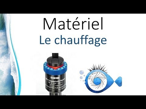 download lagu mp3 mp4 Temperature Aquarium Recifal, download lagu Temperature Aquarium Recifal gratis, unduh video klip Temperature Aquarium Recifal