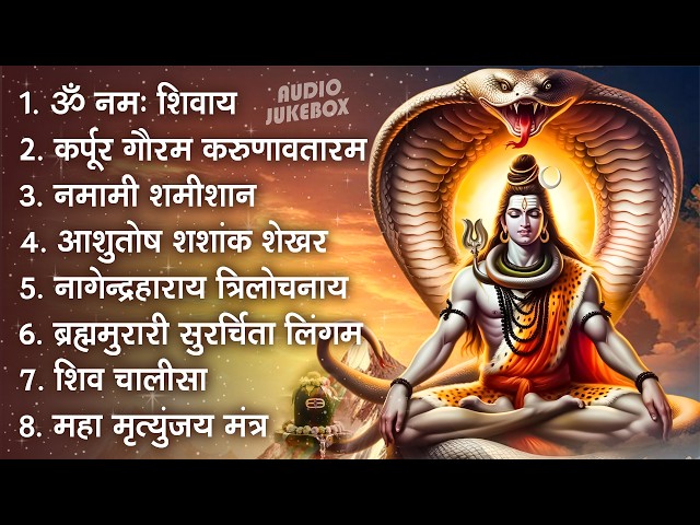 भक्ति भजन - आशुतोष शशाँक शेखर, कर्पूर गौरम करुणावतारं, ॐ नमः शिवाय,  शिव अमृतवाणी व शिव आरती