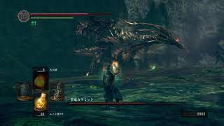 【ぬるっと実況】ダークソウルREMASTERED part24「再戦！災禍の翼、黒竜カラミット！」