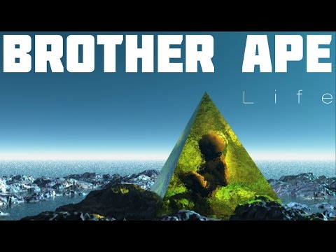 Brother ape plays 