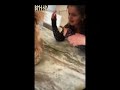 Dog Butt EVIL Prank