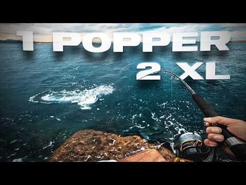 2 XL Fish on the SAME Popper [HEAVY Spinning] | Lured Vlog 375