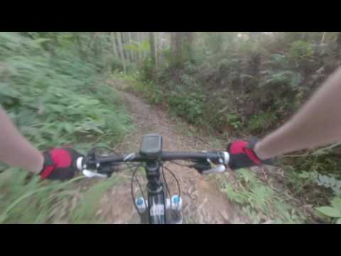 Trilha da Hobby - Pomerode