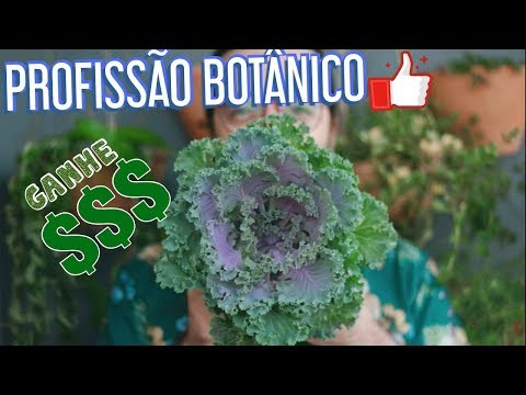 What is botany and what does a botanist do? – Plant Biology