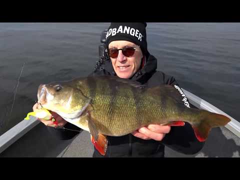 Headbanger Shad 11 - European Promo