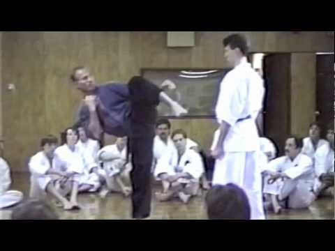 Bill "Superfoot" Wallace 3 Kicks Detailed