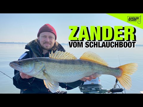 Zanderangeln vom Schlauchboot: Jiggen mit Gummifisch | Bodden-Angeln | Anglerboard TV