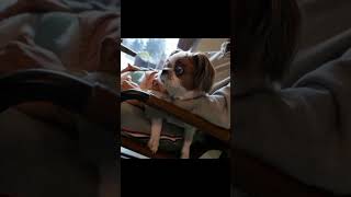 Download lagu BTS  00:00 (Zero O' Clock) ⏰ mp3