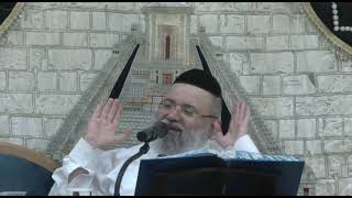 הרב ליאור כחלון,גמרא ברכות דף ז עמוד א,שלשה ביקש משה (הרב ליאור כחלון) - התמונה מוצגת ישירות מתוך אתר האינטרנט יוטיוב. זכויות היוצרים בתמונה שייכות ליוצרה. קישור קרדיט למקור התוכן נמצא בתוך דף הסרטון