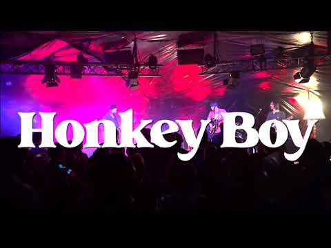 Honkey Boy - Nikolaus Wolf (Live 2022)