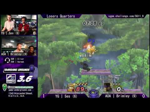 SG at GU 11.9 LQ: YG | Ses (Fox) vs AOA | Wilford Brimley (Snake)