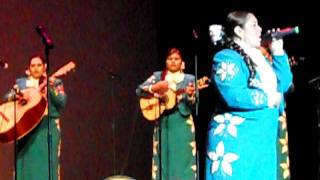 Paloma Negra- Mariachi Femenil Flores Mexicanas