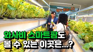 귀농귀촌해서 스마트팜 하고 싶은 분들~~ 이곳은 꼭 참가해 보세요...!