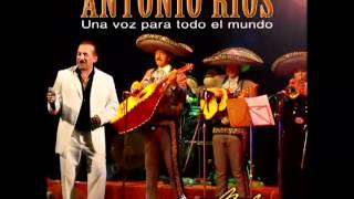 La Culpa Lyrics English Translation