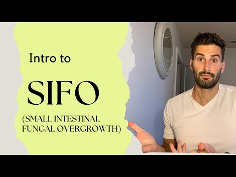 What is SIFO (Small Intestinal Fungal Overgrowth)
