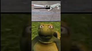 Download lagu CICAK KOCAK😂 meme #shorts mp3