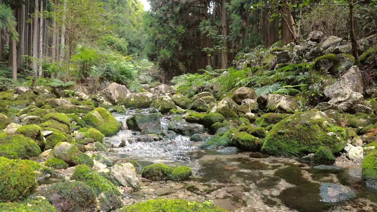 【自然の音】沢のせせらぎ - 6 / Nature Sounds - The Murmuring of the Mountain Stream (6)