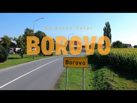 Borovo (Nikad te lepše nisam snevao) - Goran Čelar