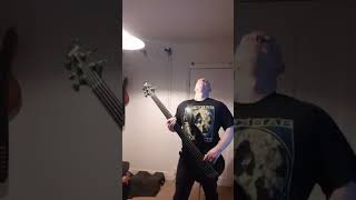 Babes in Toyland "Ripe" (Bass cover)