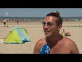 Plaag lieveheersbeestjes op het strand van Hoek van Holland.