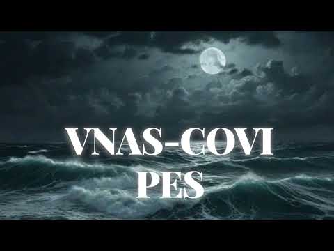 Vnas-Covi pes 🎶Վնաս-ծովի պես///Armenian Rap