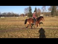 Reitvideo