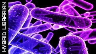 Science's 20 Most Unbelievable Truths