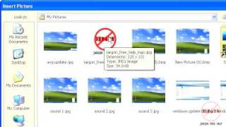 Excel 2010: Formatting Data Series in Charts