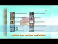 AF DVD PIRATA MENU VIDEOS PARA PEKES 5 7