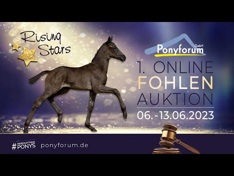 Venustas Perlenfee Stute v. Gold Garant / New Age