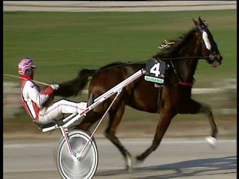 Trotto 16/11/2018 - 1ª corsa