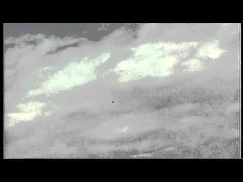 Fatal Skydiving accident